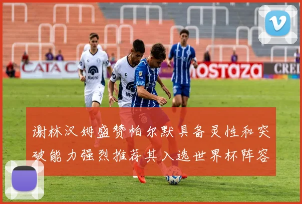 谢林汉姆盛赞帕尔默具备灵性和突破能力强烈推荐其入选世界杯阵容